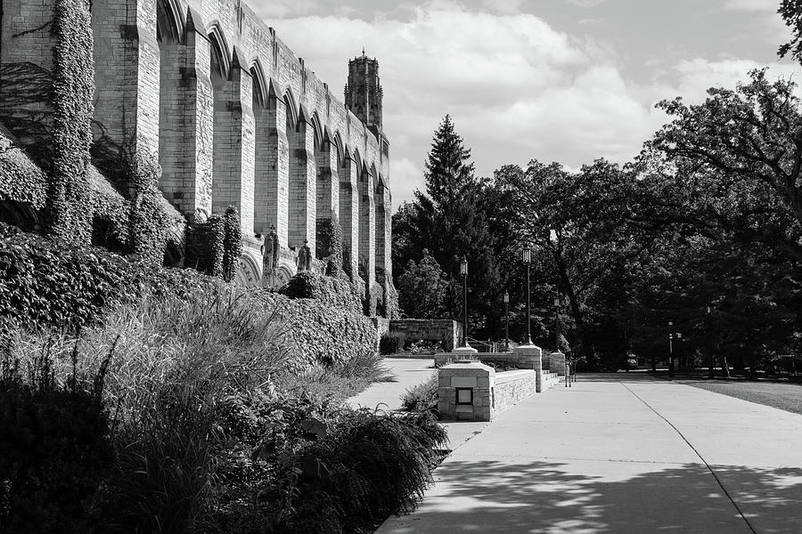 Deering Library and Pathway  Photograph by John McGraw