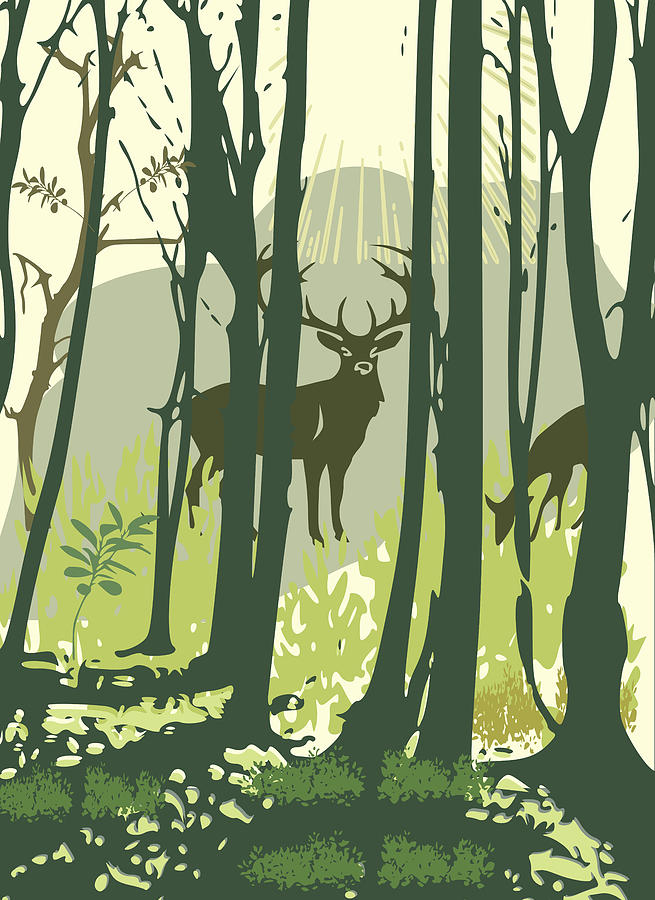Animal Digital Art - Deers in the woods by Iona Leah