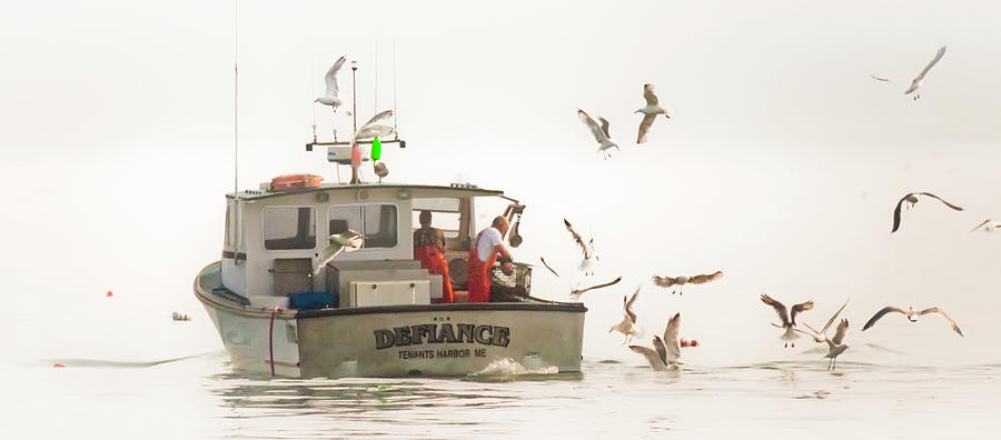 Defiance and Gulls Photograph by Jeff Cooper
