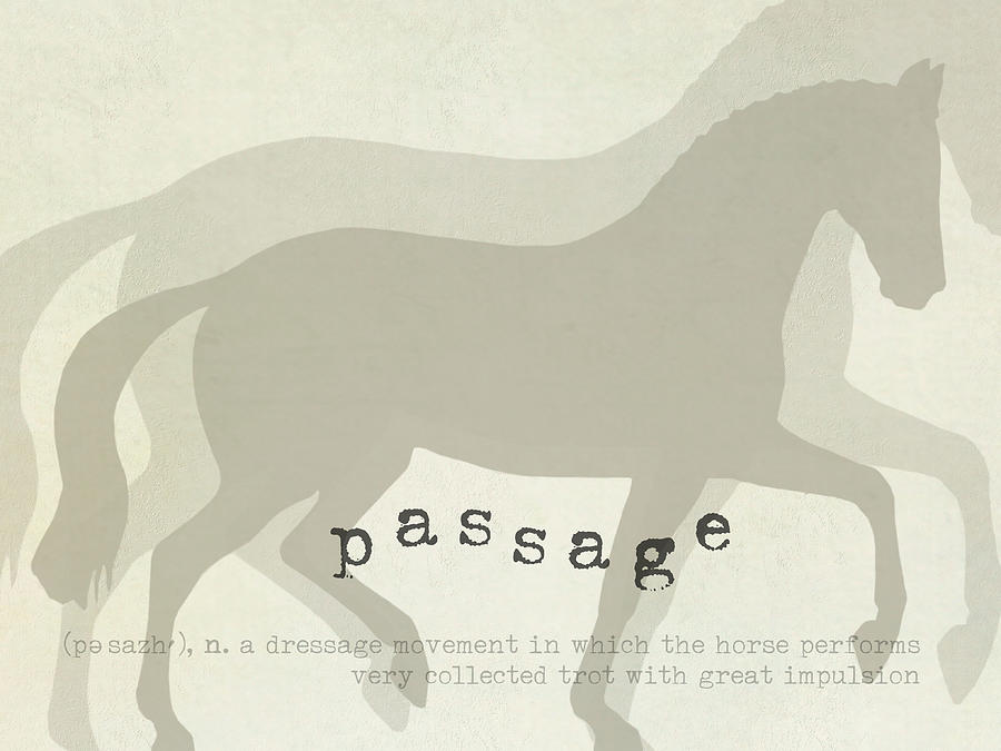 Define Passage Photograph by Dressage Design