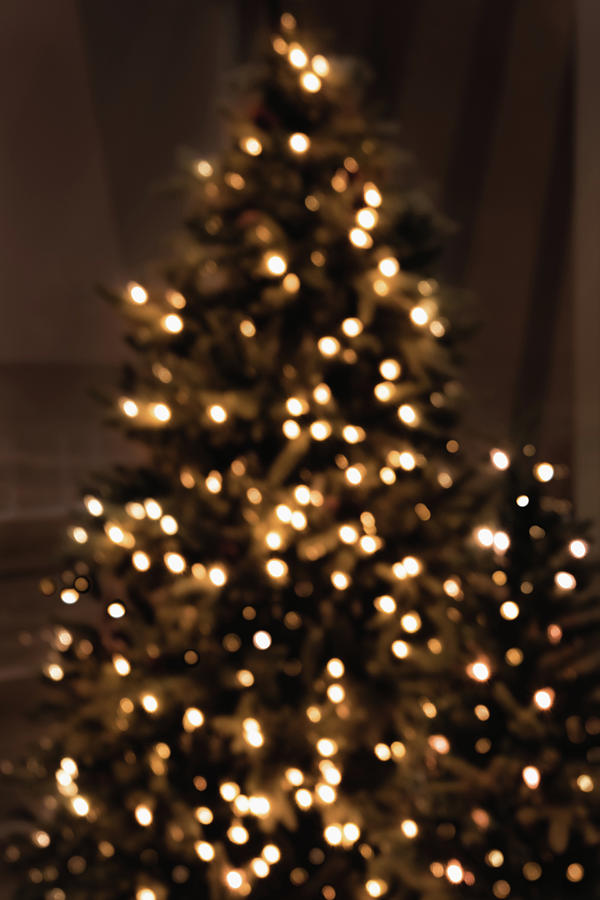 Defocused Christmas Tree with lights in it Photograph by Cristina Stefan