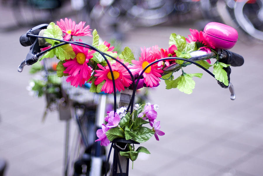 Defocussed Dutch bicycle decorated with flowers Photograph by Lyn Holly Coorg