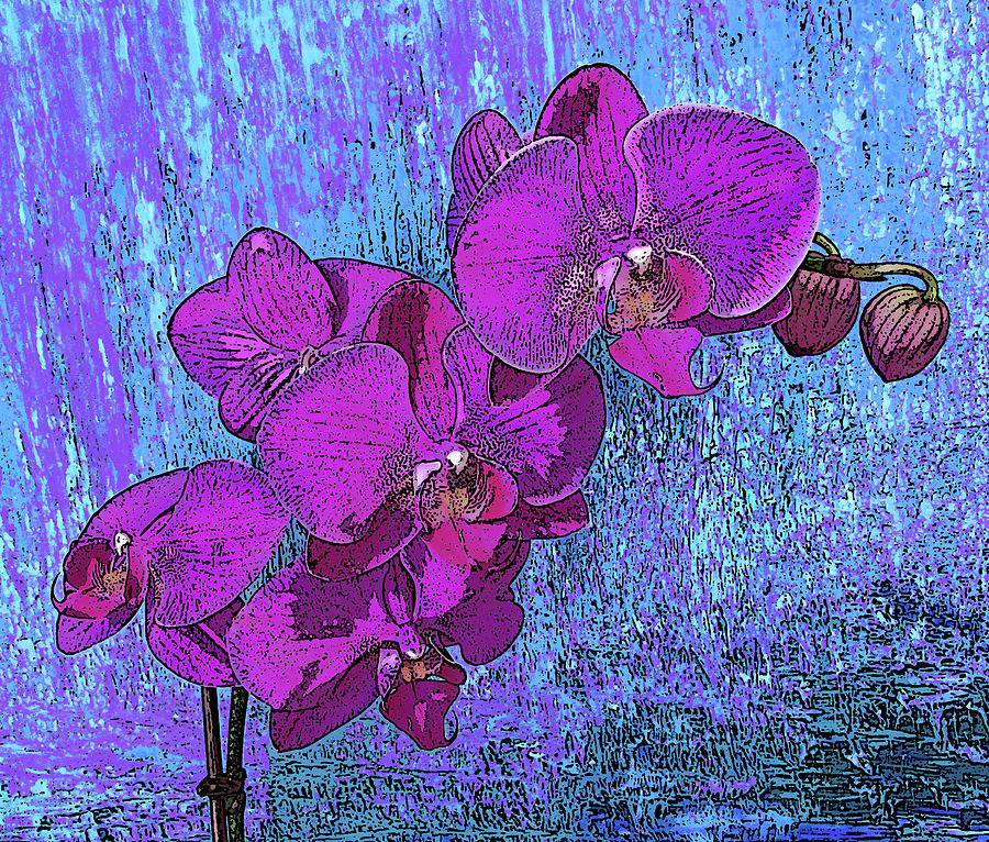 Deirdres Orchids Photograph by Corinne Carroll