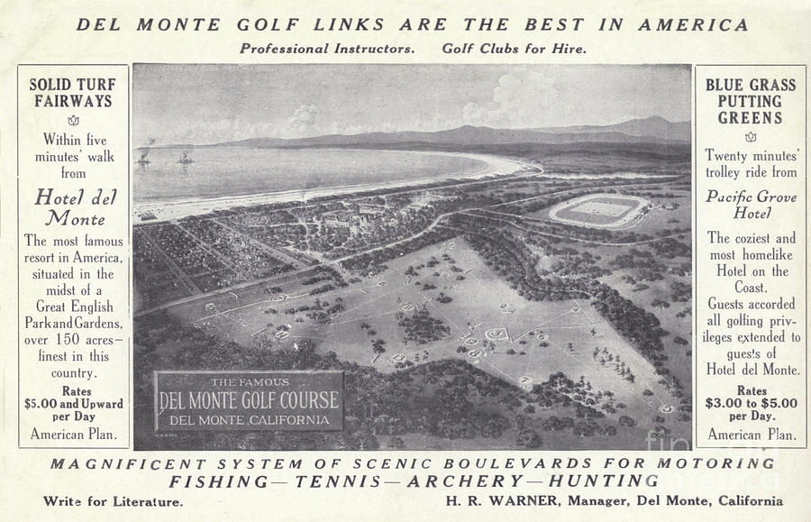 Golf Photograph - Del Monte Golf Links are the best in America, Monterey, Calif by Monterey County Historical Society