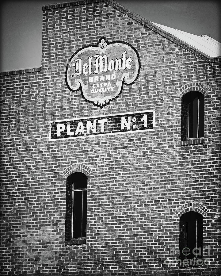 Del Monte Plant No 1 - BW Photograph by Chris Andruskiewicz