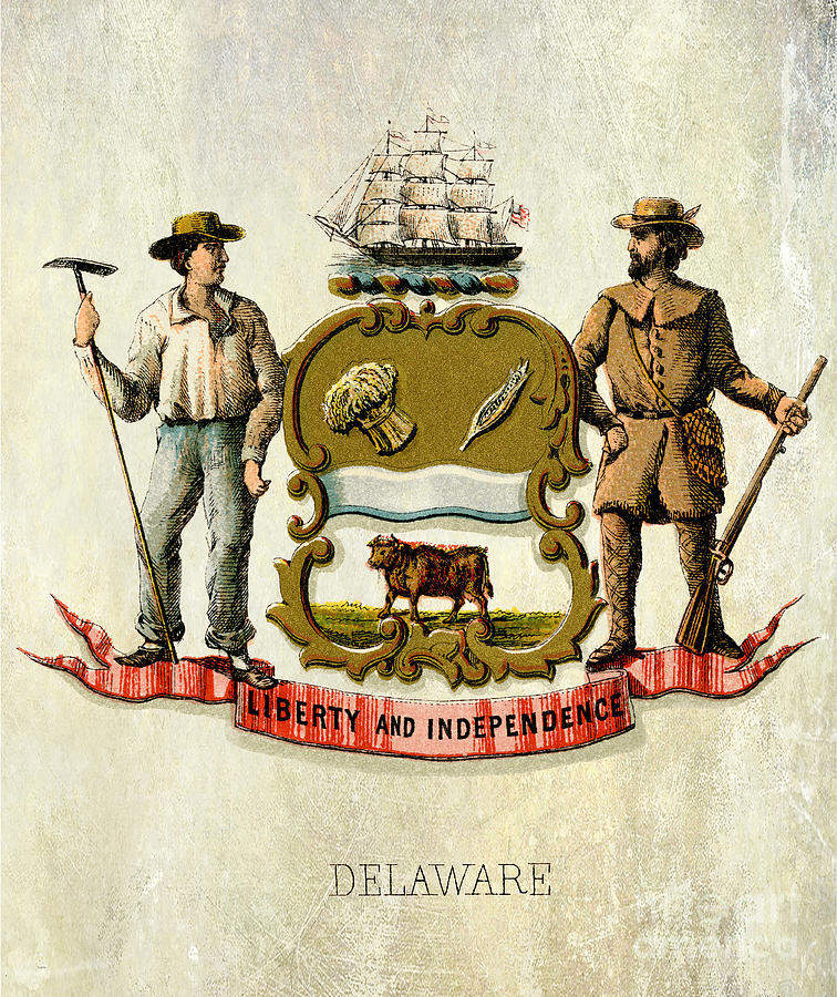 Delaware Coat of Arms 1876 Photograph by Jon Neidert