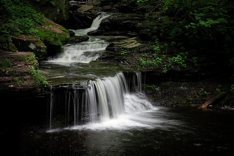 Delaware Falls Ricketts Glen Pennsylvania Photograph by Dan Sproul