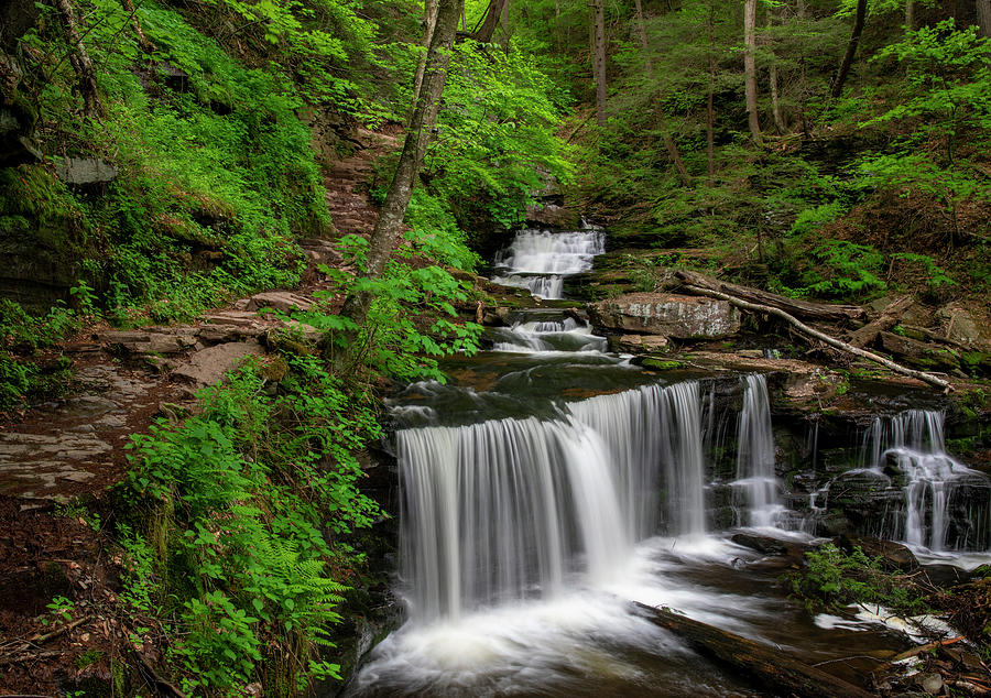Delaware Falls Ricketts Glen State Park Photograph by Dan Sproul