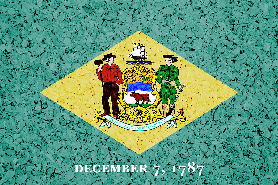Delaware State Flag On Cork Photograph