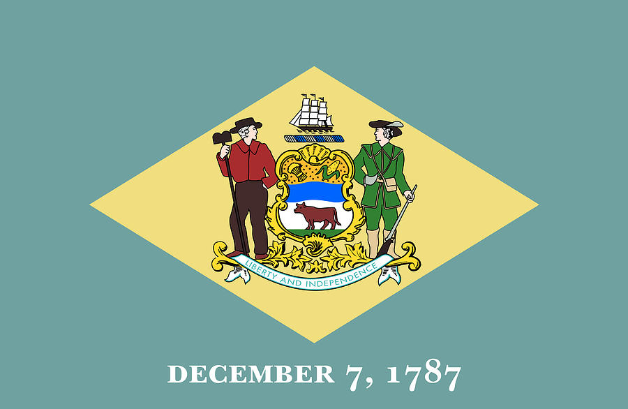 Delaware State flat flag Drawing by Veronaa