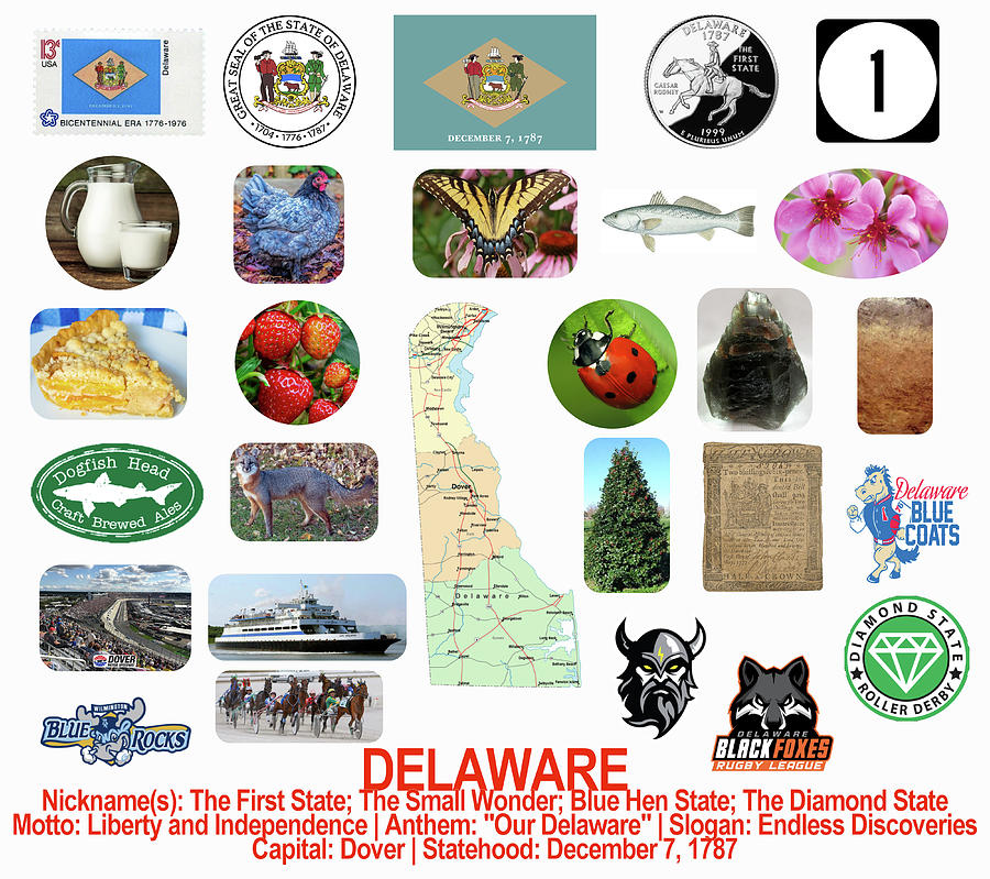 Delaware State Symbols Photograph by Robert Banach