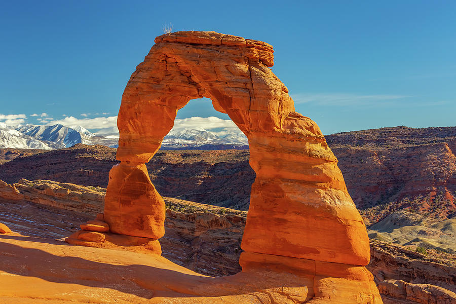 Delicate Arch Photograph by Marc Crumpler