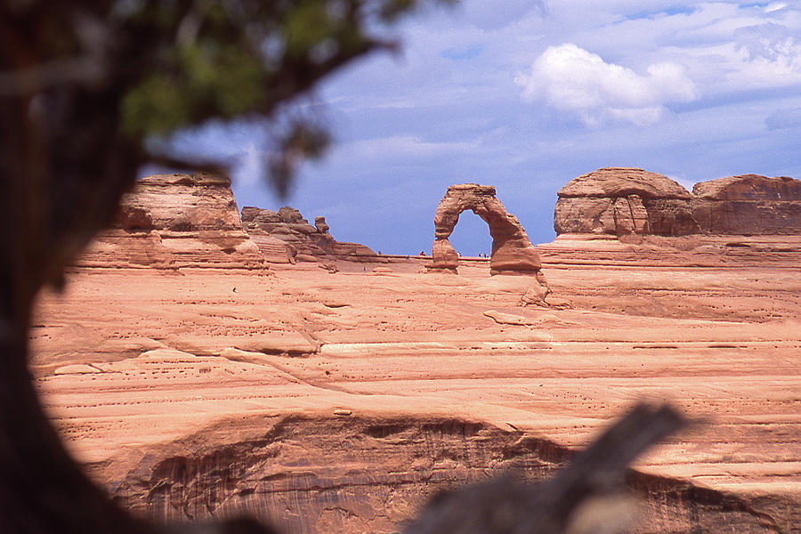 Delicate Arch - Utah Photograph by Mike McGlothlen