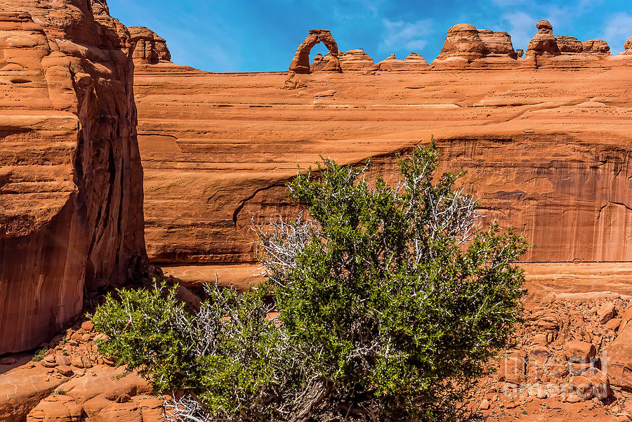 delicate arch viewpoint