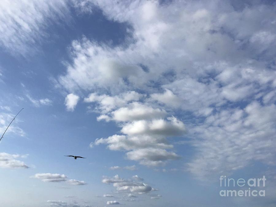 Delicate Flight in Clouds Photograph by Catherine Wilson