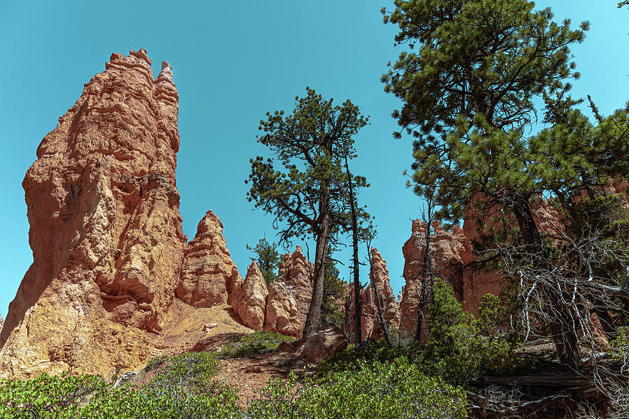 Delicate Hoodoo Photograph by Nicholas McCabe