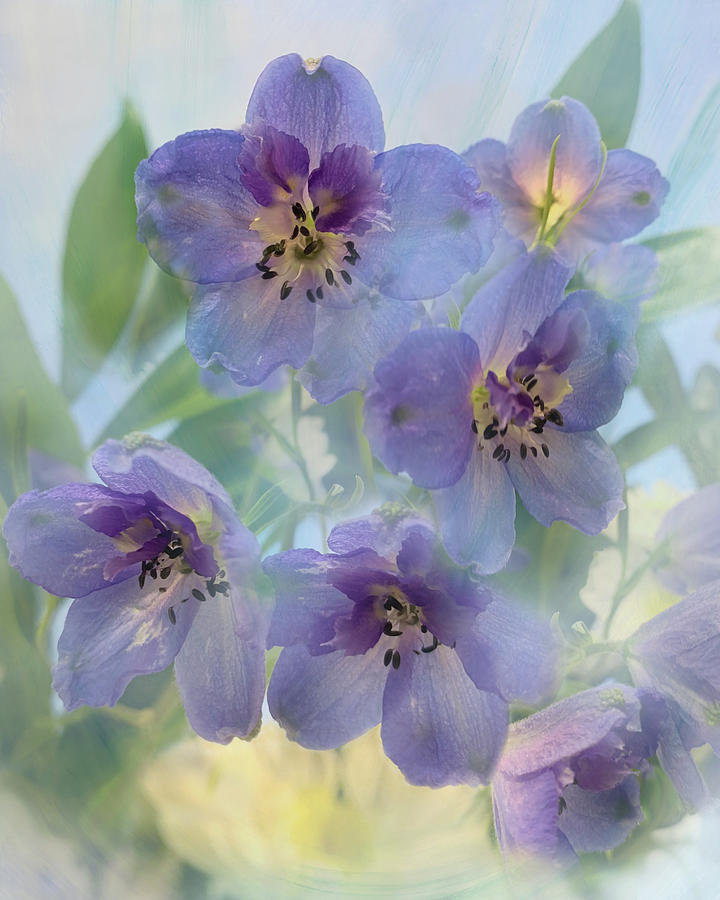 Delicate Little Purple Flowers Digital Art by Sherrie Triest