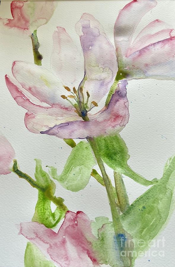 Delicate Magnolias  Painting by Sherry Harradence