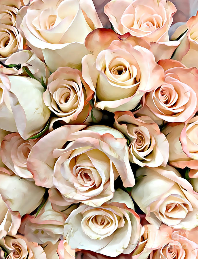 Delicate Peachy-Pink Roses Digital Art by Judy Palkimas
