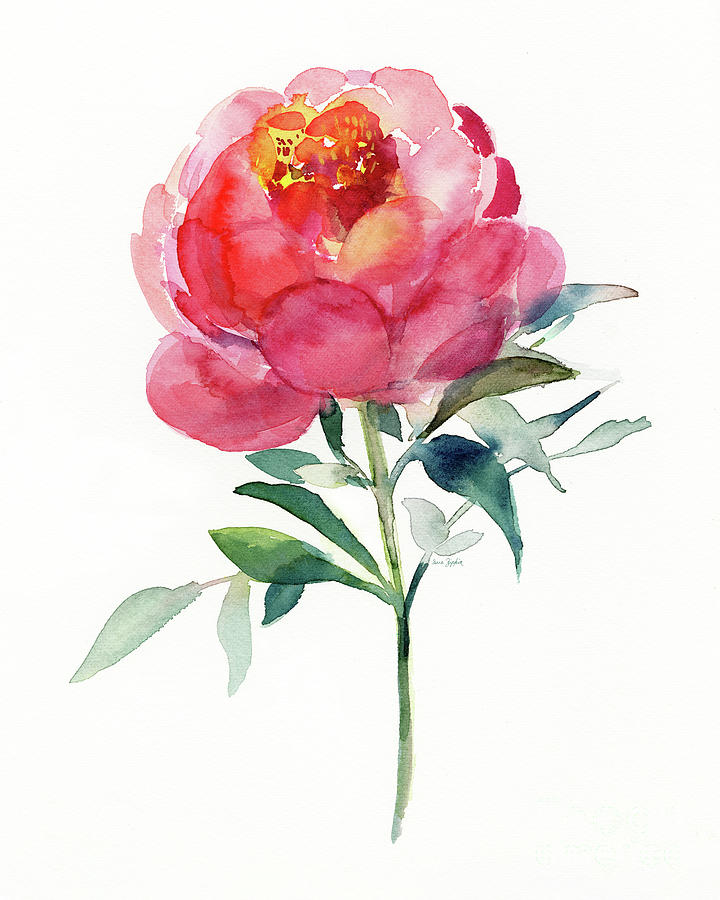 Bloom Painting -  Delicate Pink Peony Bloom by Sue Zipkin