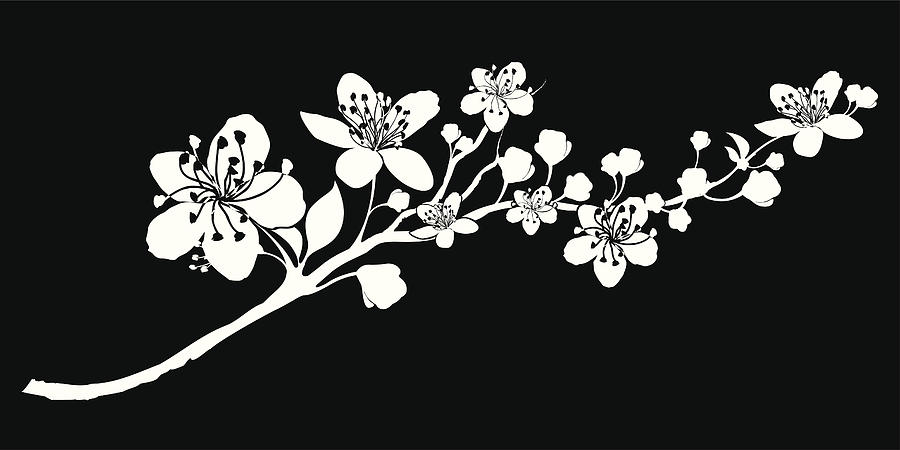 Delicate Silhouette of a branch abloom Drawing by Ollustrator