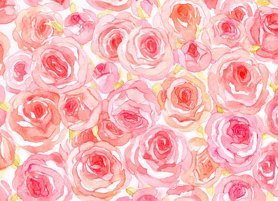 Delicate watercolor roses Drawing by Aromanta