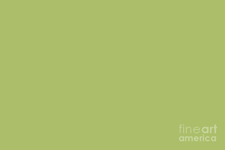 Delicious Olive Dark Pastel Green Solid Color Pairs To Sherwin Williams Lime Rickey SW 6717 Digital Art by PIPA Fine Art - Simply Solid