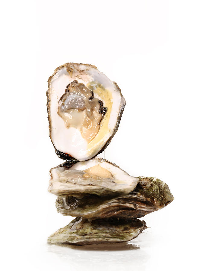 Delicious oysters Photograph by Jorgegonzalez