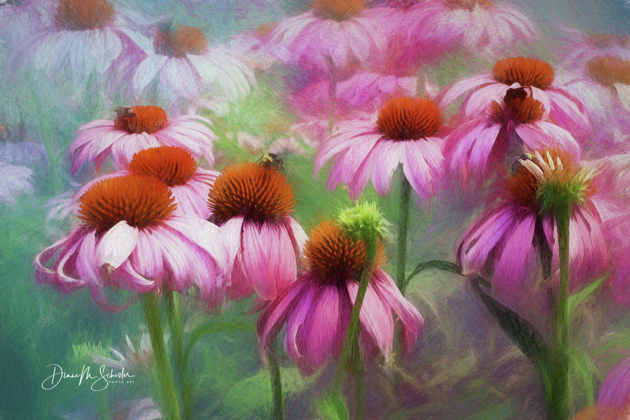 Summer Photograph - Delightful Coneflowers by Diane Schuster