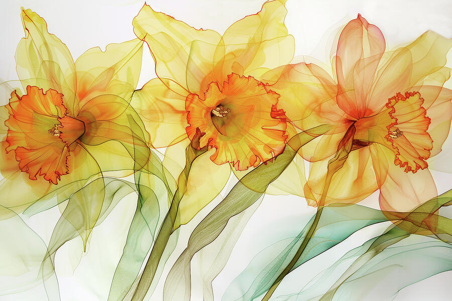Delightful Daffodils Digital Art by Peggy Collins