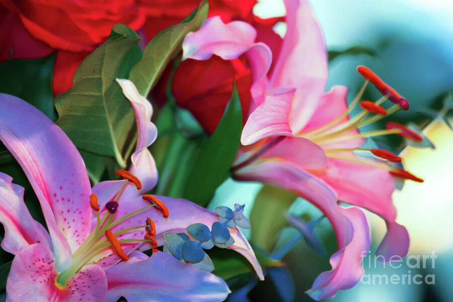 Delightful Flower Bouquet Photograph by Laura L Leatherwood
