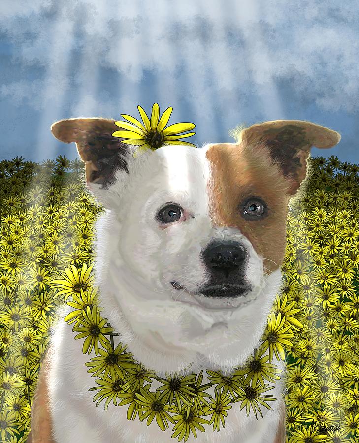 Delightful Mustang Puppy In A Field of Daisies Drawing by Joan Stratton