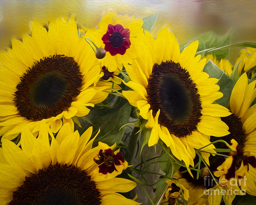 Delightful Sunflowers Mixed Media