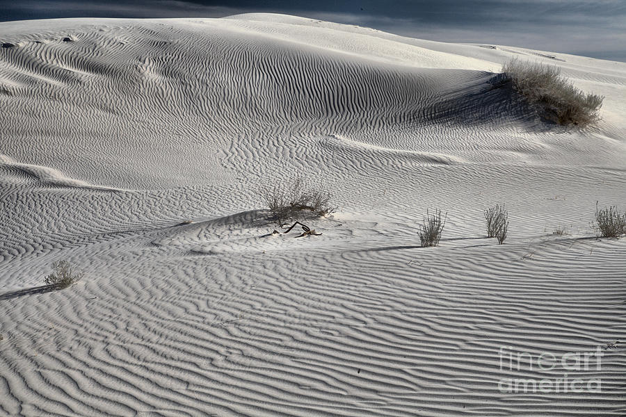 Dell Texas Gypsum Dunes Photograph by Adam Jewell Fine Art America
