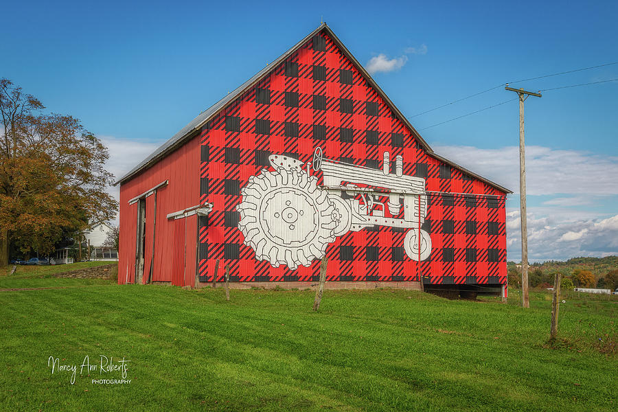 Dellvale Cabot Cheese Logo Barn Photograph by NancyAnn Roberts - Fine ...