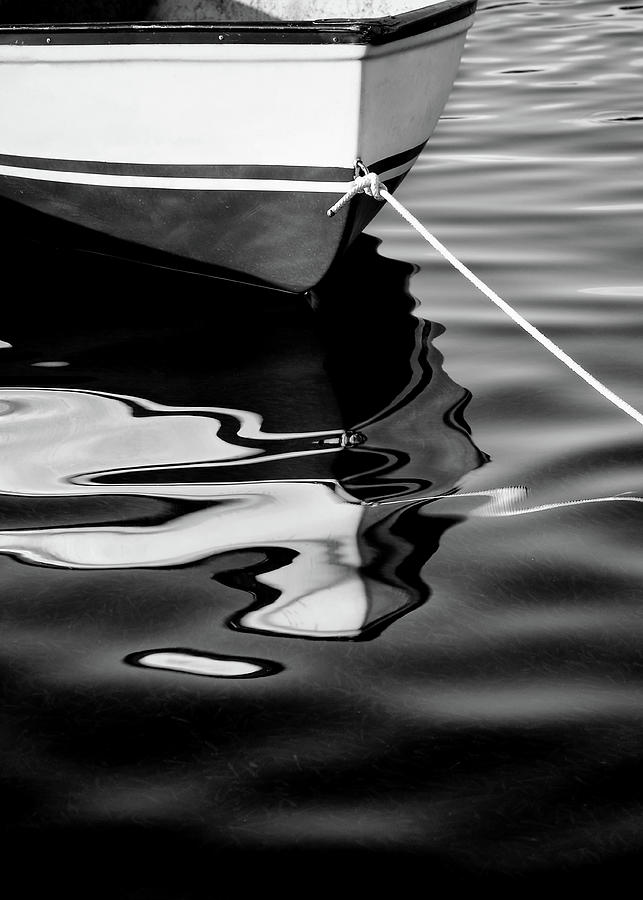 Delphin 2 Black and White Photograph by Laura Fasulo
