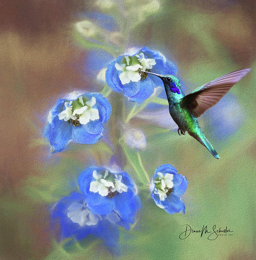 Summer Digital Art - Delphinium and the Hummingbird by Diane Schuster