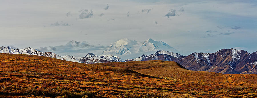 Denali From Afar Photograph by Doolittle Photography and Art