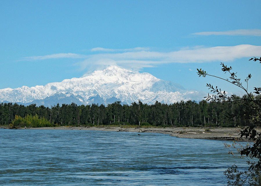 Denali From Talkeetna Photograph by Connie Fox