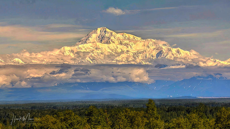 Denali Photograph By Hank Miner 