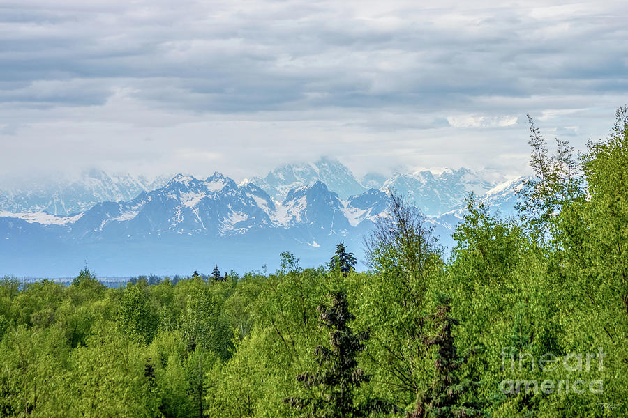Denali Mountains From Talkeetna Photograph by Jennifer White