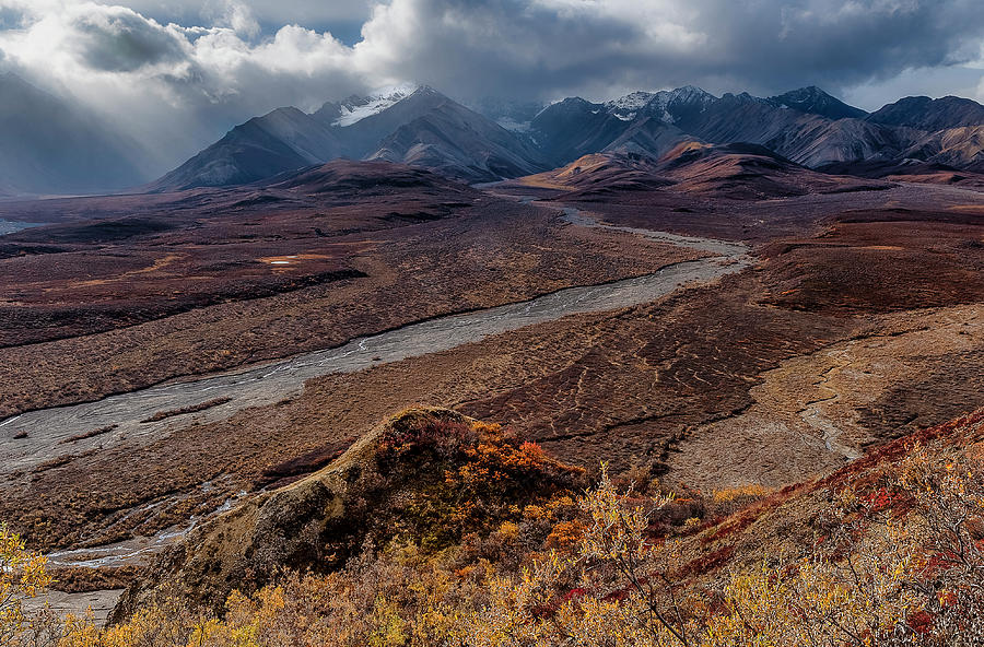 Denali National Park Alaska USA in Fall Photograph by Doug Holck