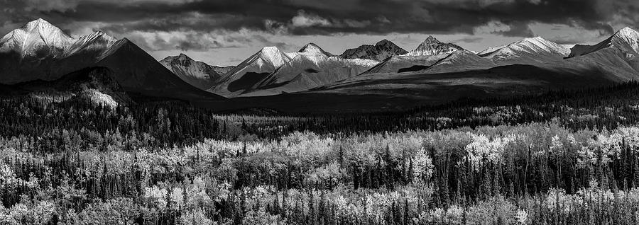 Denali national park in black and white Photograph by Olivier Parent