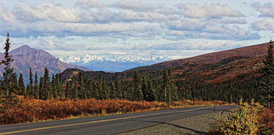 Denali National Park Road Photograph by Doolittle Photography and Art