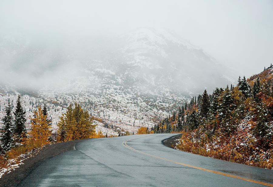 Denali National Park Road In Autumn Snow Photograph