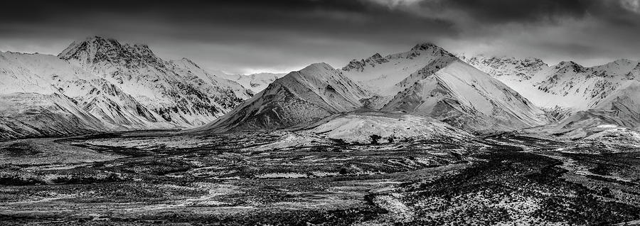 Denali national park - winter is coming in black and white Photograph by Olivier Parent