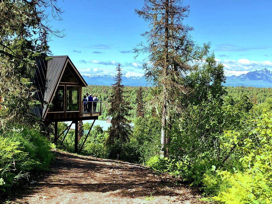 Denali Treehouse Photograph by Adrian Reich