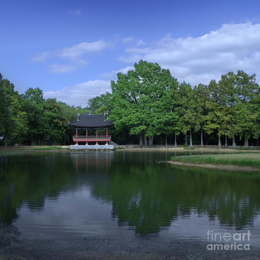 Denman Park Portrait Photograph by Jerry Editor | Pixels