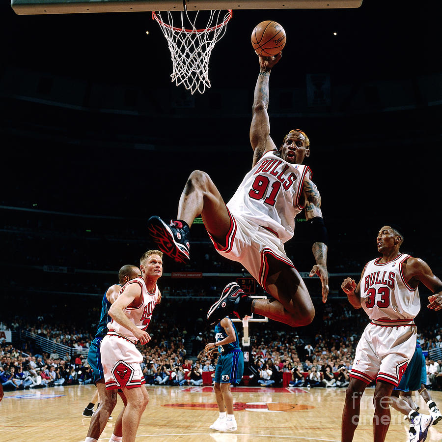 Chicago Bulls Photograph - Dennis Rodman by Scott Cunningham