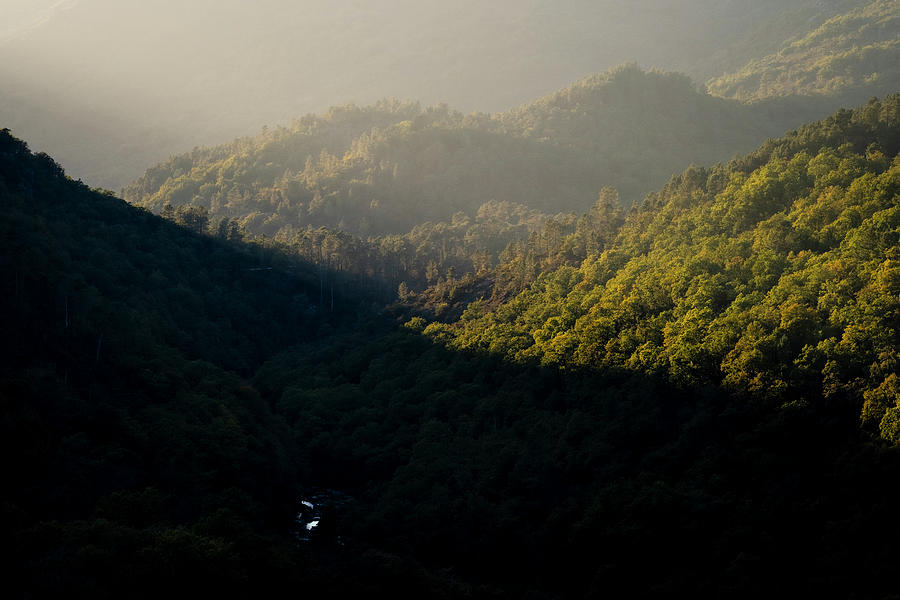 Dense Forest Of Peneda Geres National Park Photograph
